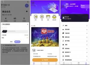 投資理财爆款_海外多語言 搶單商城 定制UI 海外刷單 商城搶單系統 訂單自動匹配系統 疊加組 打針福利單 海外源碼_T8技術