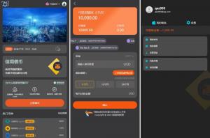 投資理财爆款_全新多語言 借币貸款 套路貸款 usdt貨款源碼 借币系統_T8技術