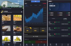 投资理财爆款_新版微交易 二开版微交易系统 重构版海外微盘系统 粮食微盘系统 K线正常 二开微盘_T8技术